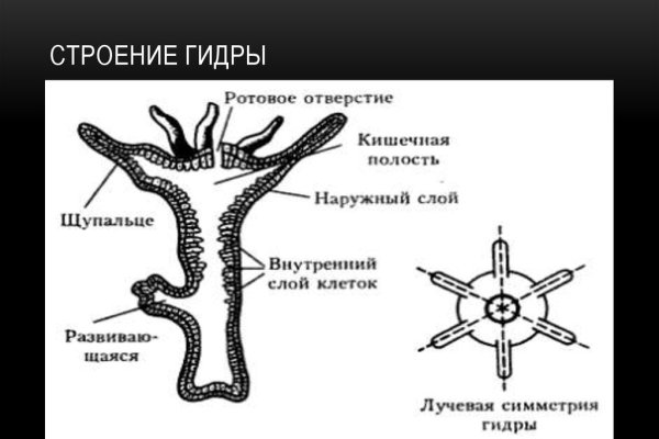 Kraken найдется все