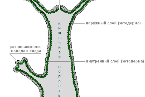 Новая ссылка на кракен