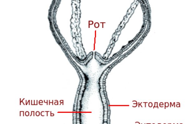 Кракен сайт ссылка